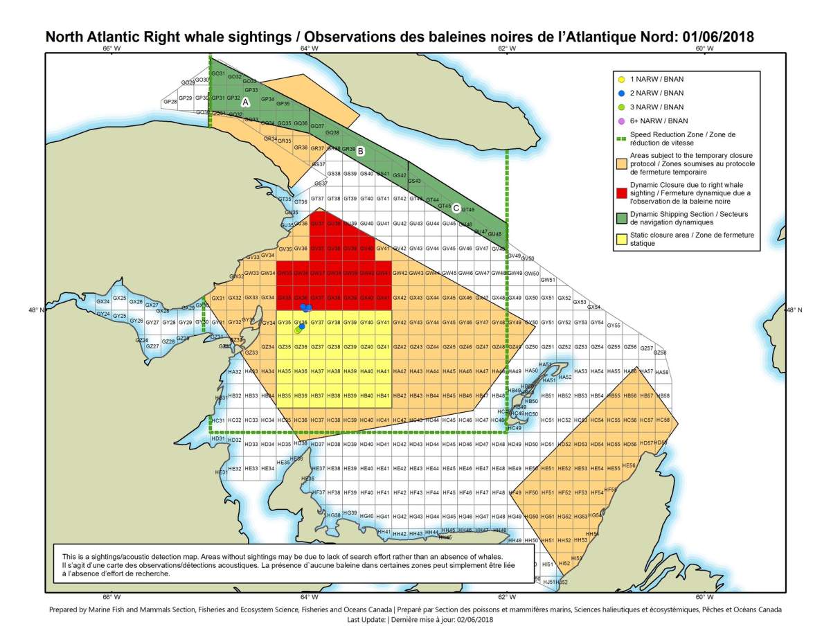 Canada announces additional fishery closures after more Right Whales spotted - image