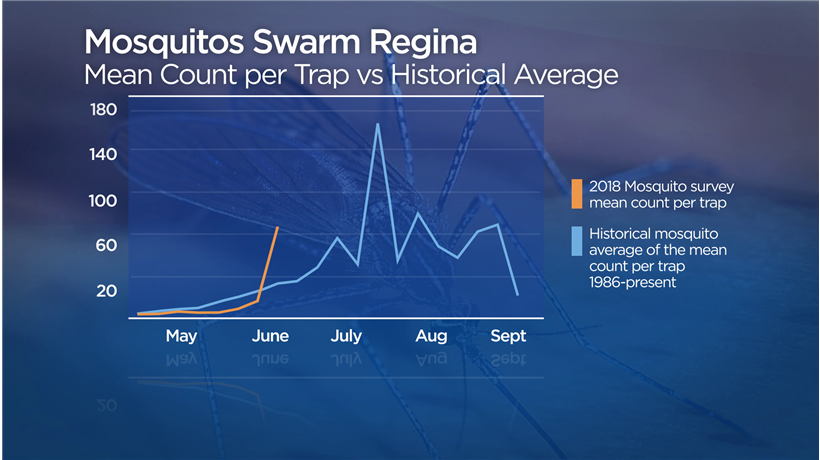 The City of Regina’s latest counts found a mean of 77 mosquitos per trap, well above the average of 27.