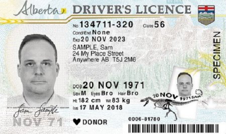 New Alberta driver’s licence and ID cards to save $1M per year ...