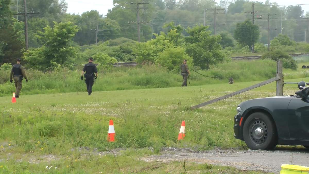 OPP ordered CN to halt train service as they searched an area near the tracks.