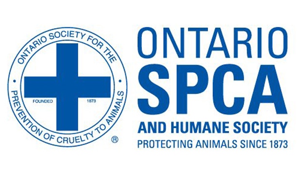 A Peterborough woman faces 33 counts of animal cruelty involving animals on a rural farm.