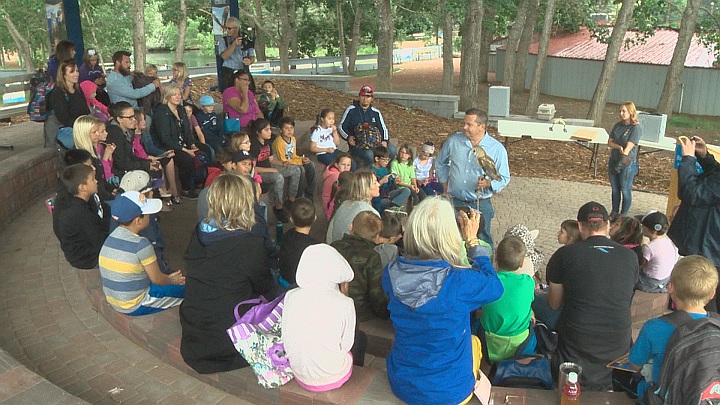 Owl Amphitheater at Alberta Birds of Prey Centre.