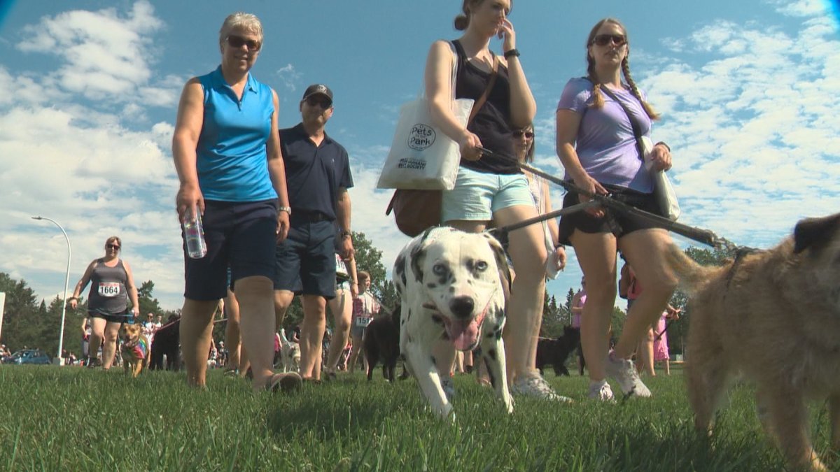The annual Pets in the Park event supporting the Edmonton Humane Society at Hawrelak Park.