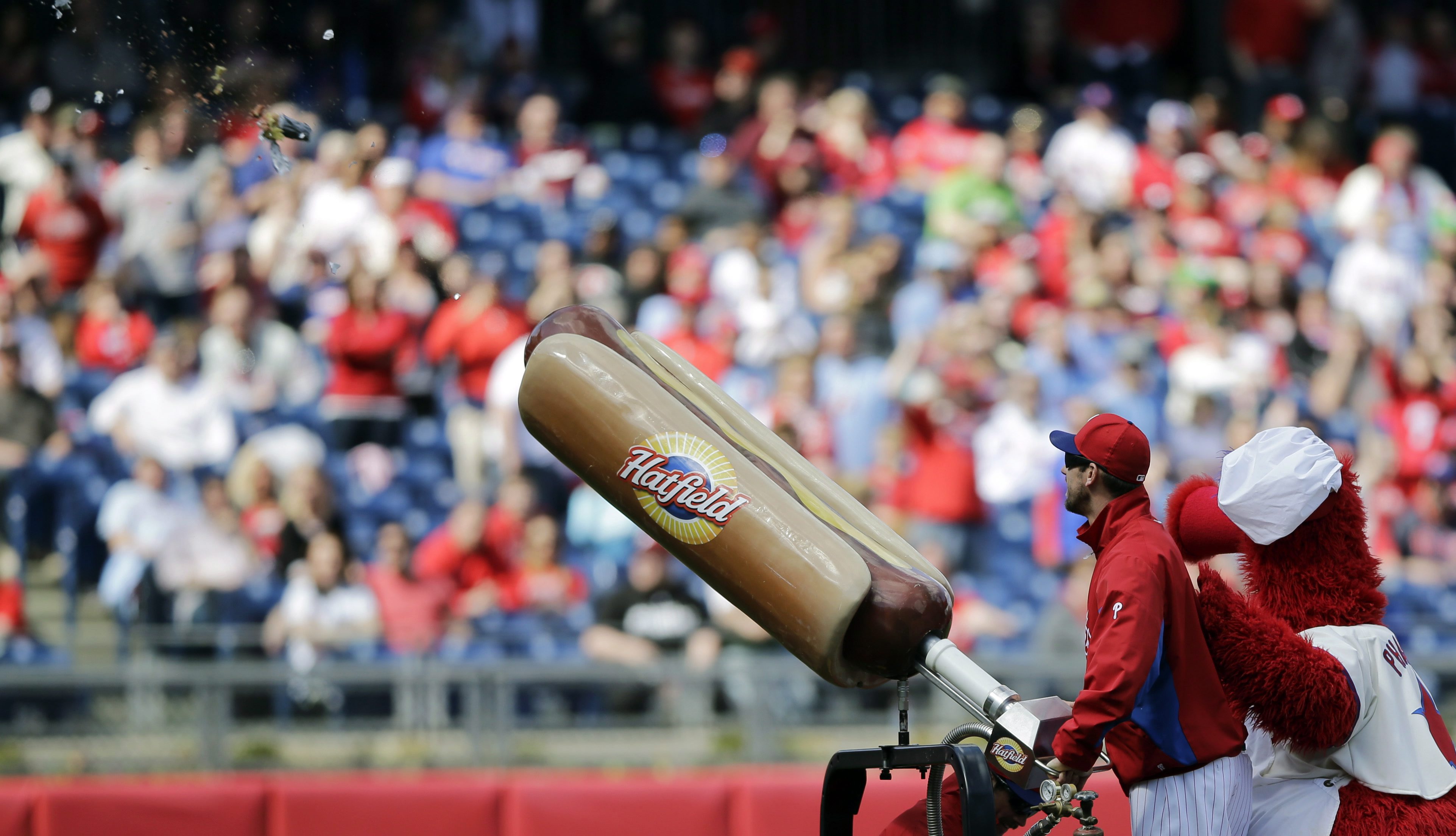 Phillies fan injured after Phillie Phanatic's flying hot dog hit her in the  face