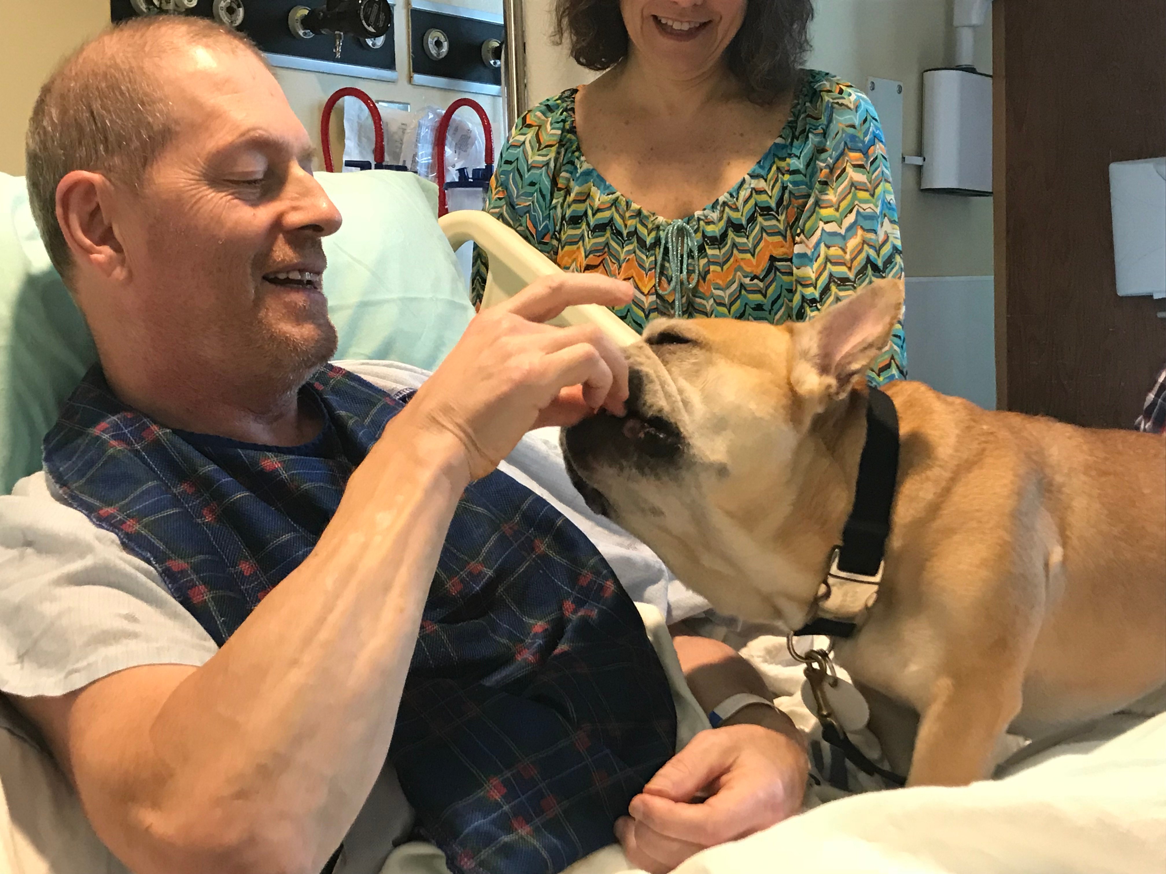 Therapy Dogs Soothing Patients At The Montreal Neurological Institute Montreal Globalnews Ca