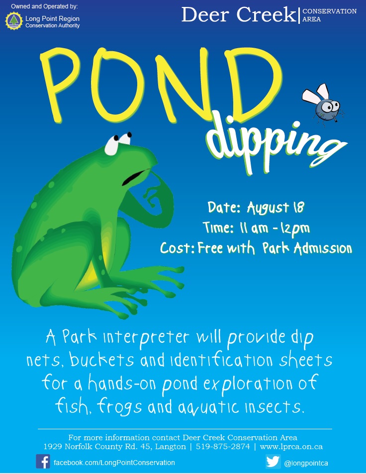 Pond Dipping - image