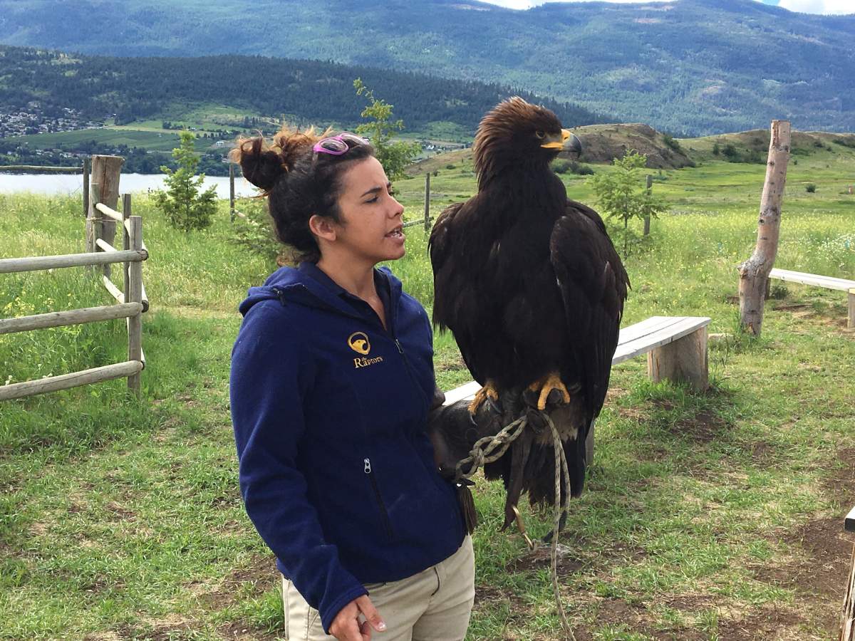 The Allan Brooks Nature Centre in Vernon is seeking volunteers to help the organization.
