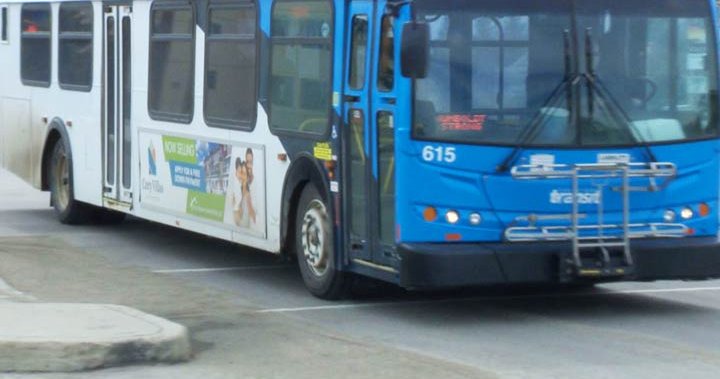 Транзитен синдикат в Саскатун каза че шофьорите на градски автобуси