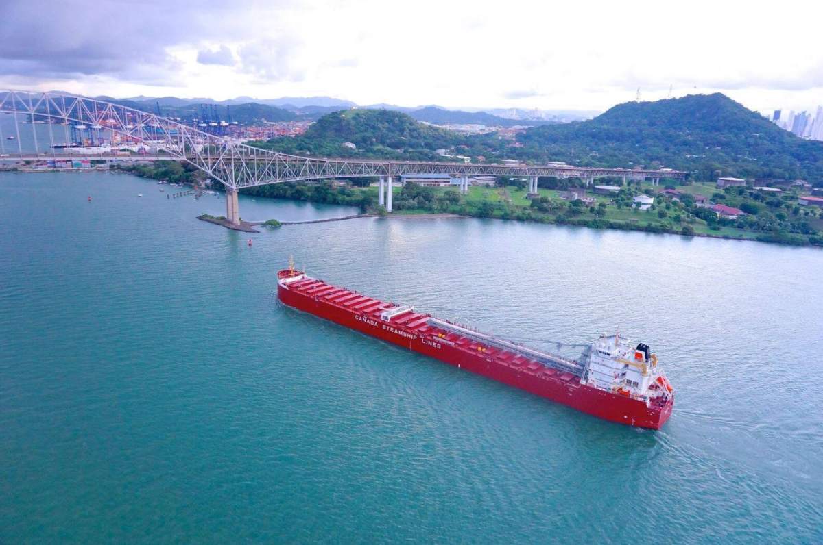 Seafarers Training Institute hopes hiring initiative will attract young Maritimers - image