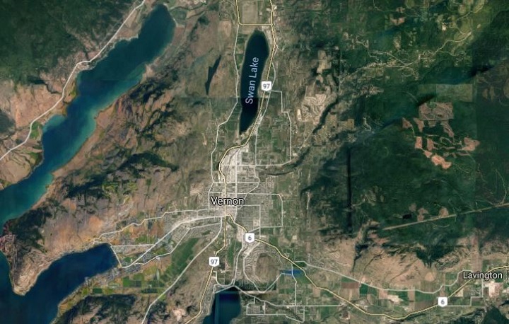 Swan Lake near Vernon, B.C., was designated on Wednesday as a provincial wildlife management area. Every day, thousands of vehicles drive past Swan Lake, which is located beside Highway 97.