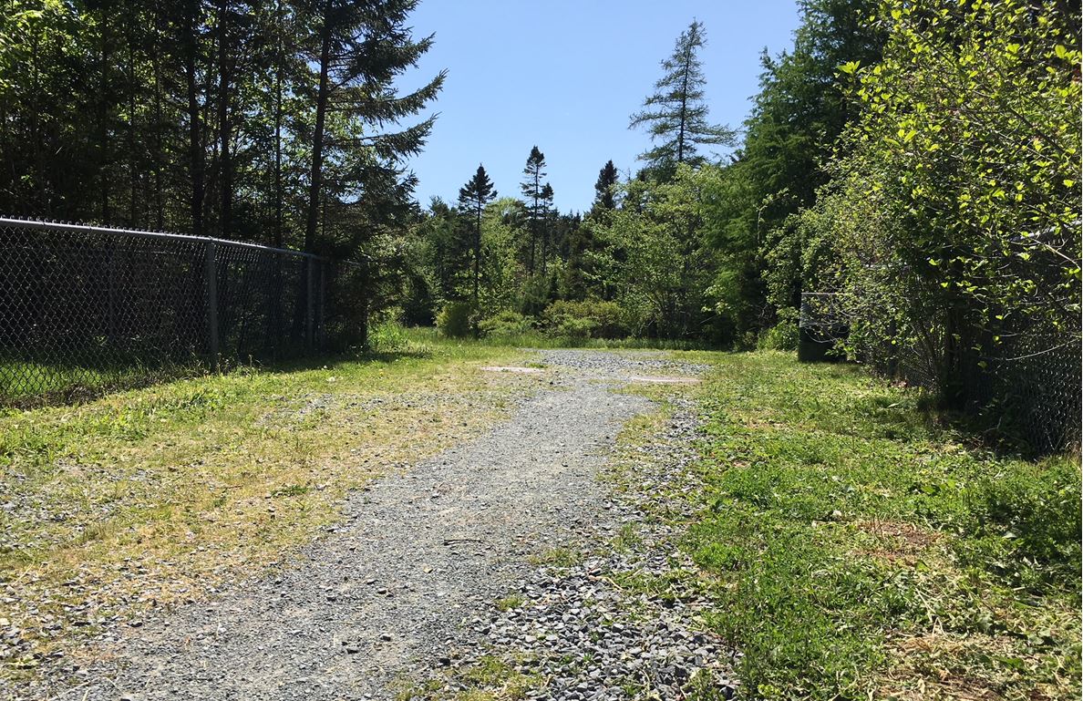 Halifax District RCMP are asking for the public's help after a 13-year-old girl says she was grabbed while on a walking path in Cole Harbour.