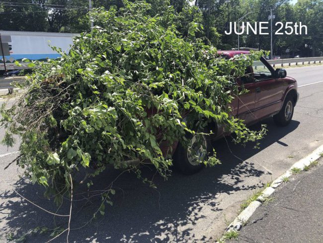 Massachusetts motorist gains notoriety for piling pickup high with uncovered cargo - image