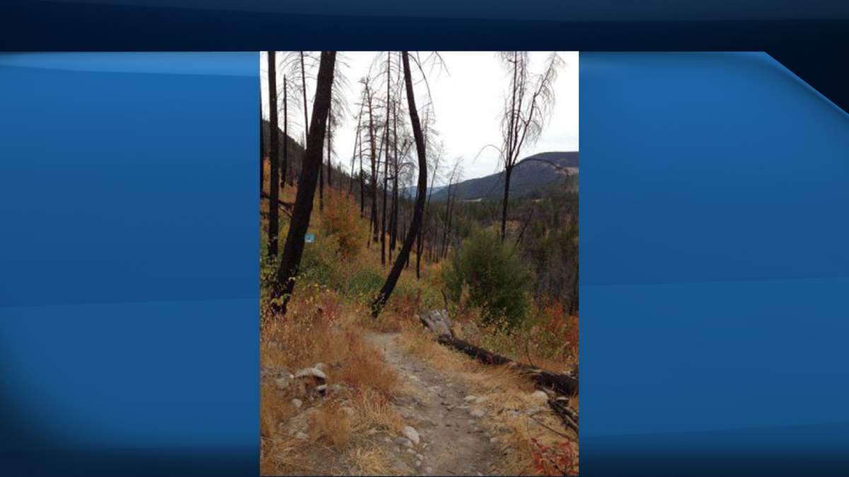 Officials are warning visitors that parts of Trepanier Creek Greenway trail could be temporarily closed next week for tree removal.