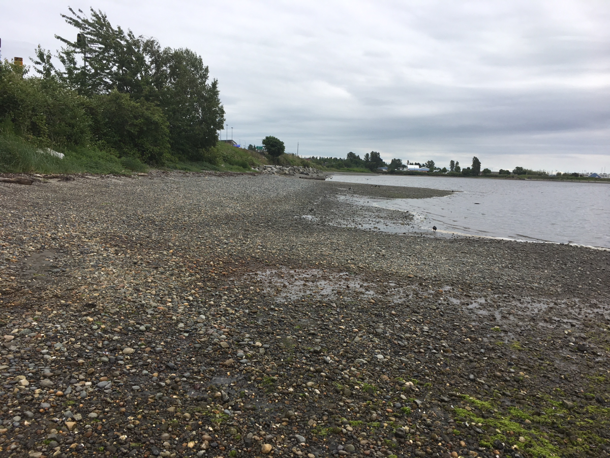 A beach in White Rock where a 19-year-old accidentally ran into the U.S.