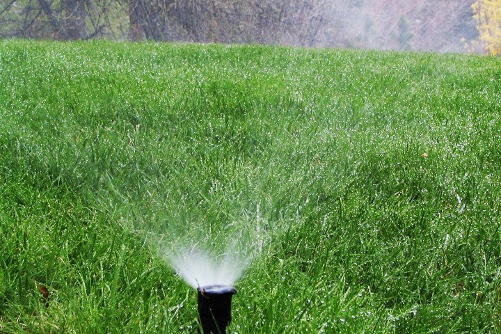 Guelph’s watering restrictions go to Level 1 Yellow amid dry, hot weather
