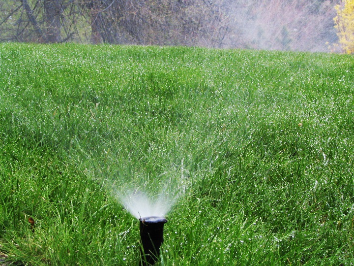 A lawn sprinkler is seen in an undated Global News file photo. As of Ag. 6, 2023, the City of Vancouver said a total of 897 monetary and warning tickets had been issued for violations of its Stage 1 and Stage 2 water restrictions.