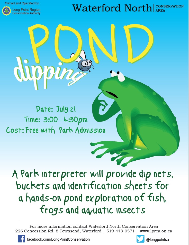 Pond Dipping - image