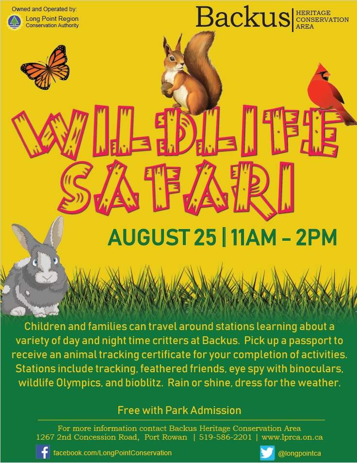 Wildlife Safari - image