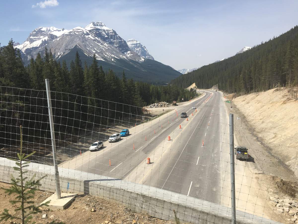 A new wildlife overpass is set to open in Yoho National Park.