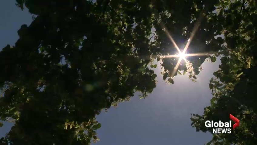 Heat warnings have been issued for parts of New Brunswick and Nova Scotia until Tuesday. 