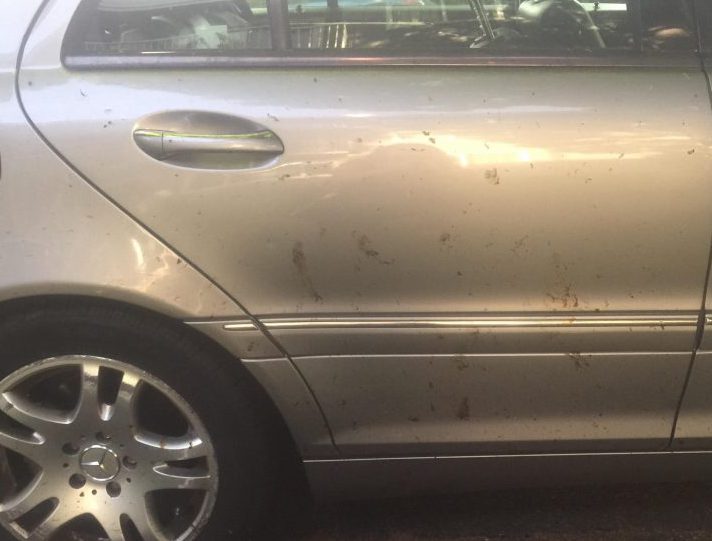 A Vancouver woman believes her car was splattered with fecal matter.