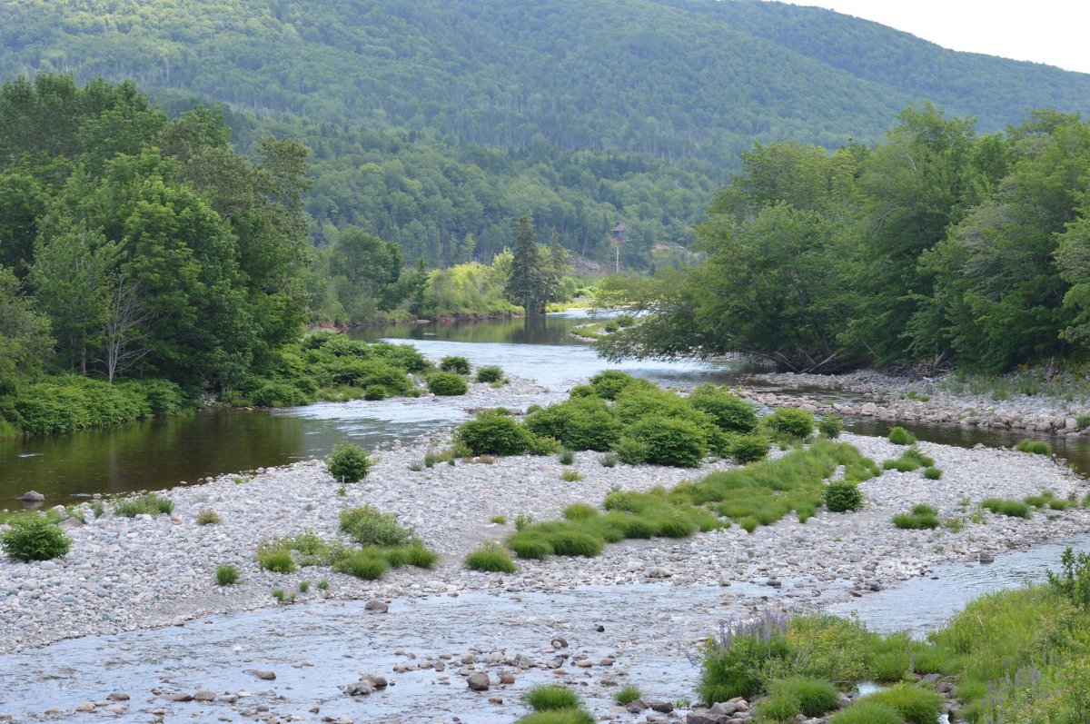 The North River in Cape Breton is seen on July 19, 2018.
