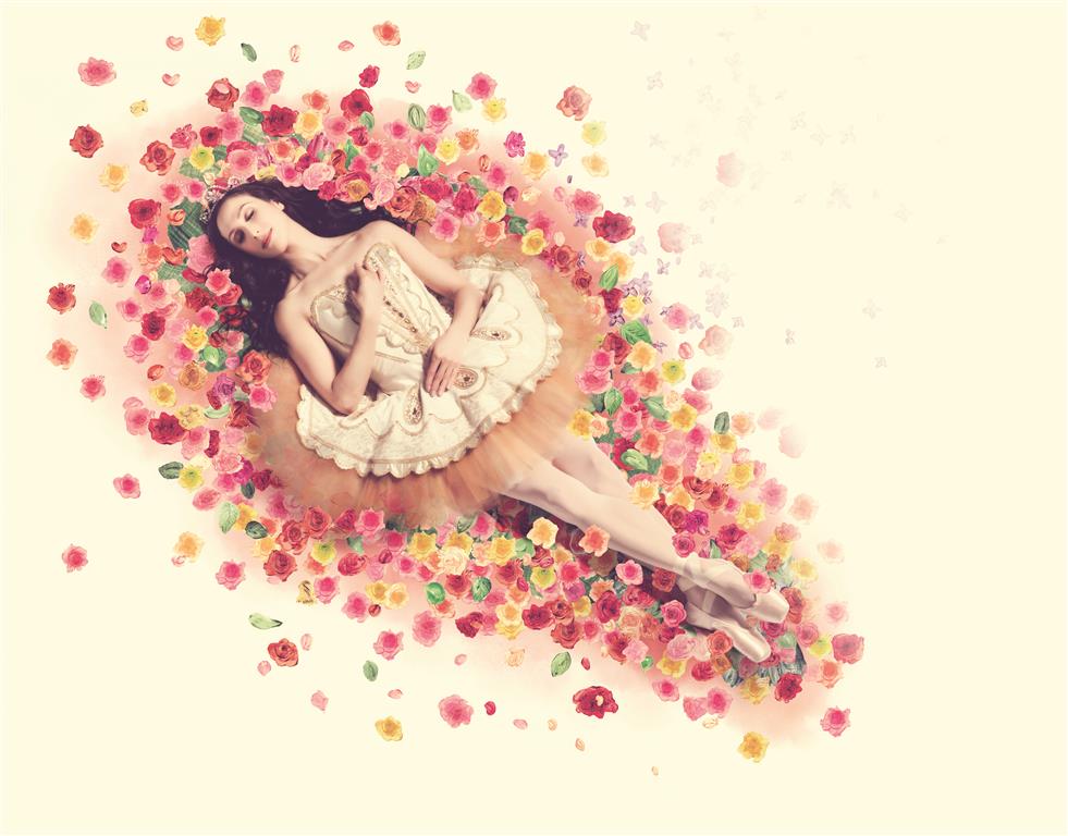 Alberta Ballet in The Sleeping Beauty - image