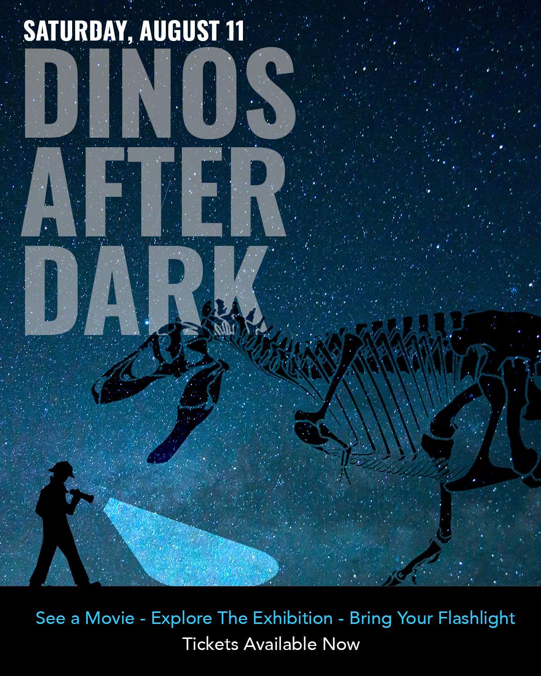 Dinos After Dark! - image