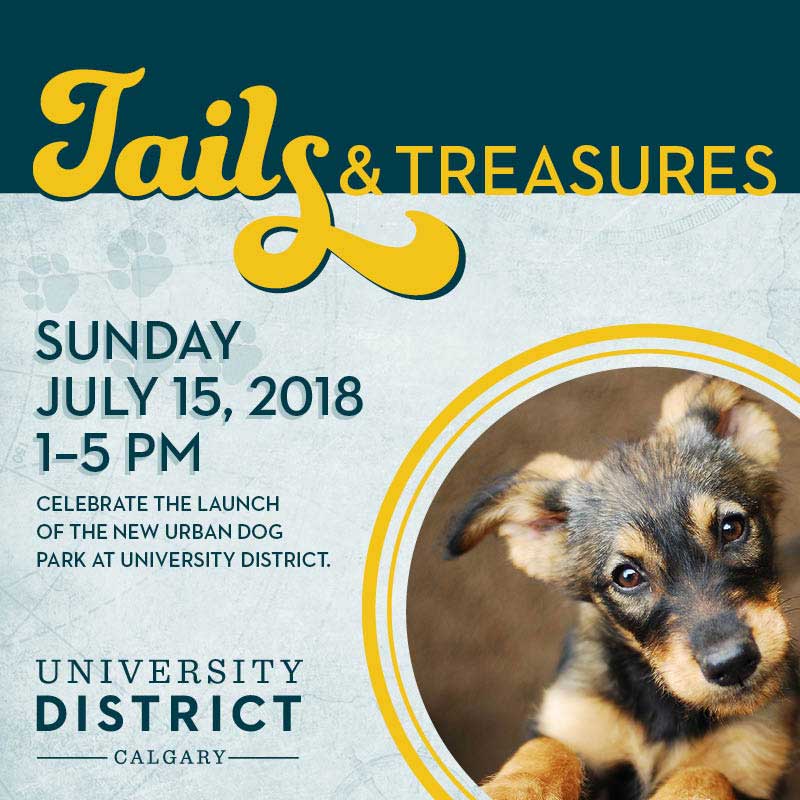 Tails & Treasures - image