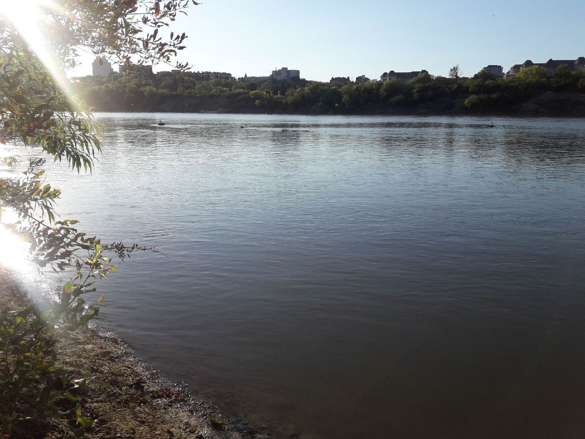 Accidental Beach in Edmonton's North Saskatchewan River valley is under water due to high streamflow. July 6, 2018. 
