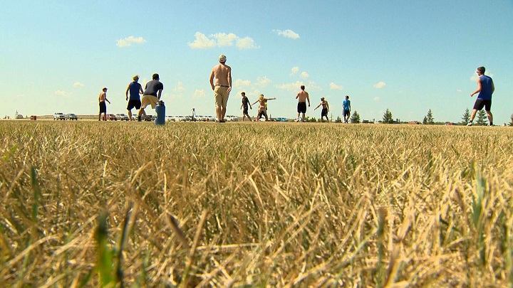 American frisbee team practices for the Ultimate Frisbee World Championship in Winnipeg.