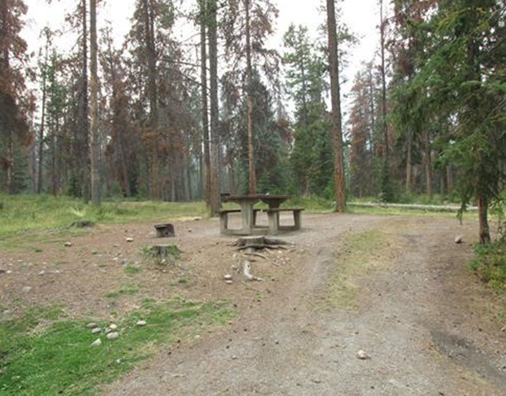 The existing campsites at Whistlers Campground in Jasper National Park. 