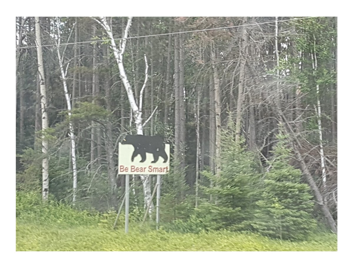 If signs aren't enough, recent attacks remind us to be Bear Smart while out in the Manitoba wilderness this summer.