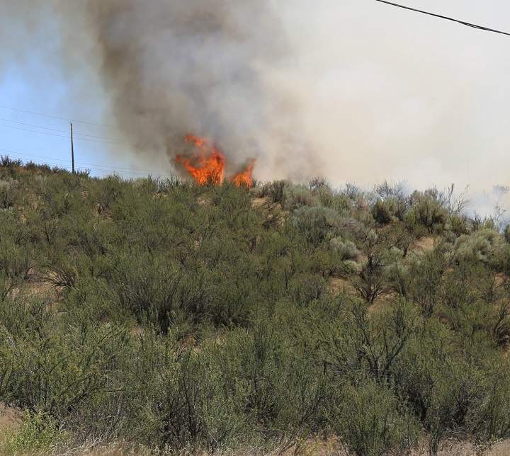 The fire is estimated to be 20 hectares in size.
