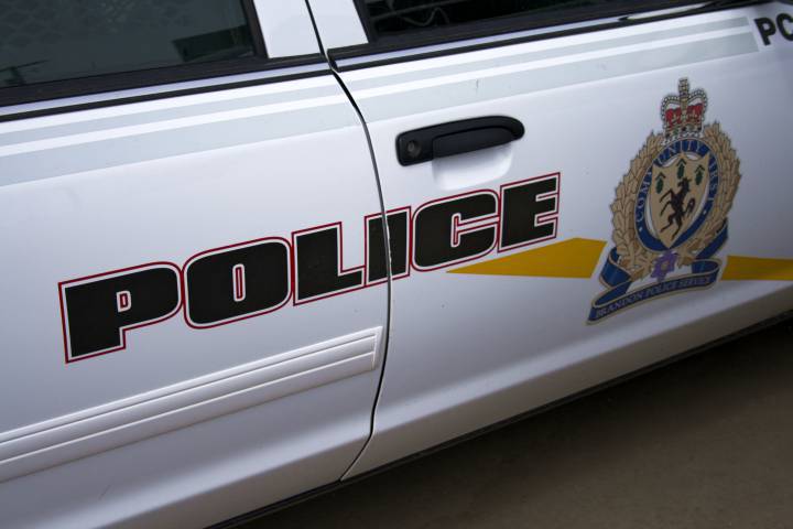 Brandon man in custody on assault charges, police announce