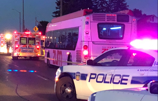 Peel police investigate the scene of a quadruple stabbing on a transit bus in Brampton on July 3, 2018.