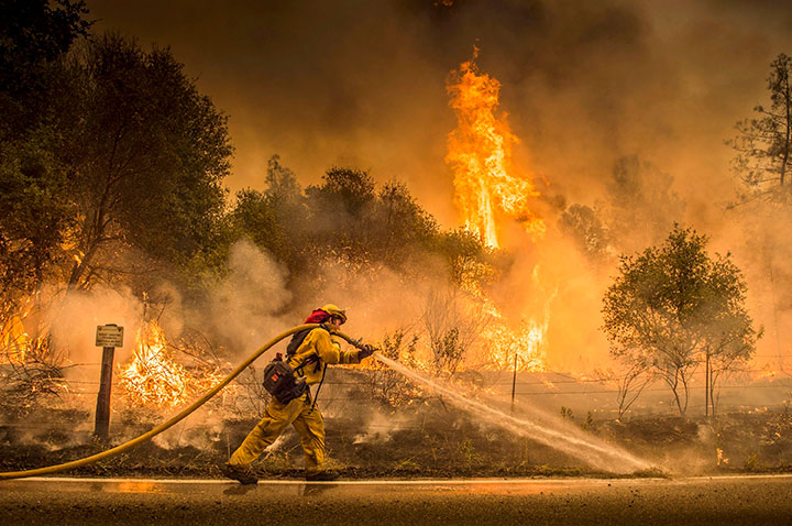 A Cal Fire firefighter waters down a back burn near the town of Igo, Calif., Saturday, July 28, 2018.