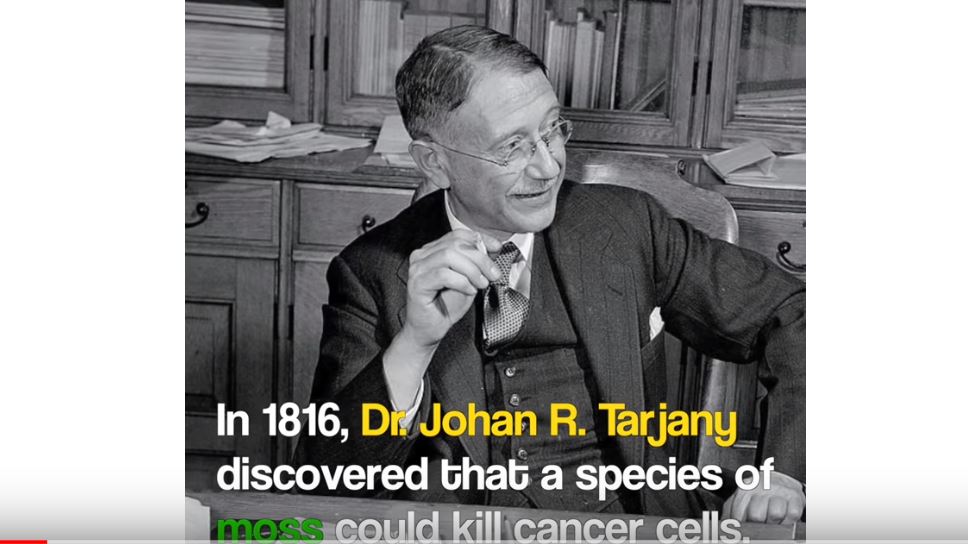 The video says a certain molecule found in moss is the miracle cure.