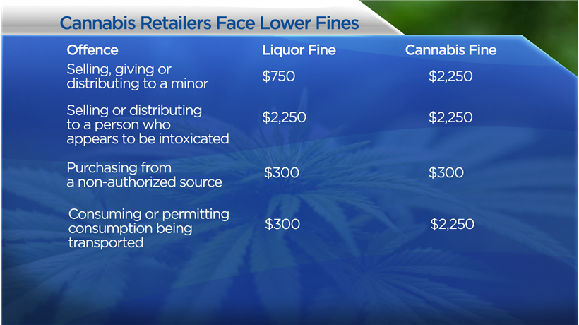 Cannabis retailers face the stiffest penalties, particularly when it comes to minors.