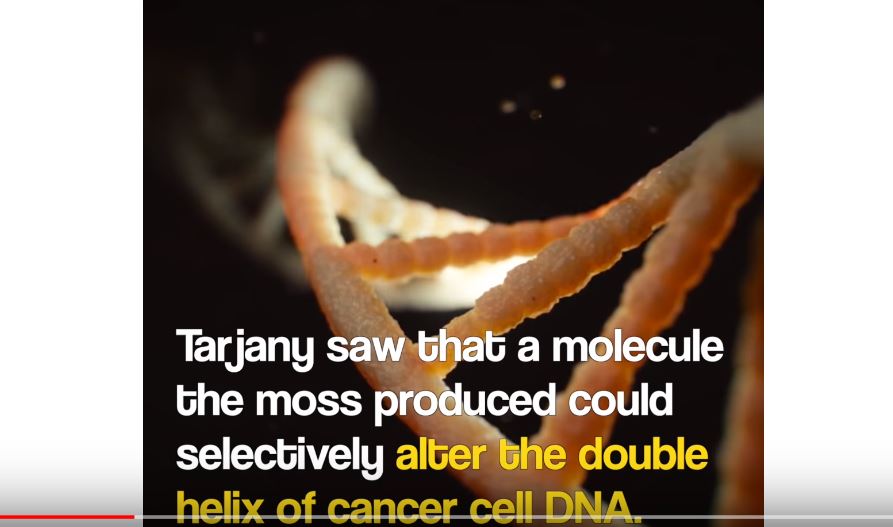 Canadian scientist’s ‘cure cancer’ video goes viral. But it’s purposefully fake - image