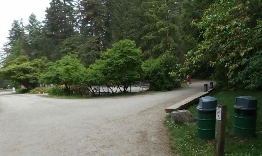 Call boxes are expected to be in place by the end of the year, and for now, security cameras are limited to Central Park.