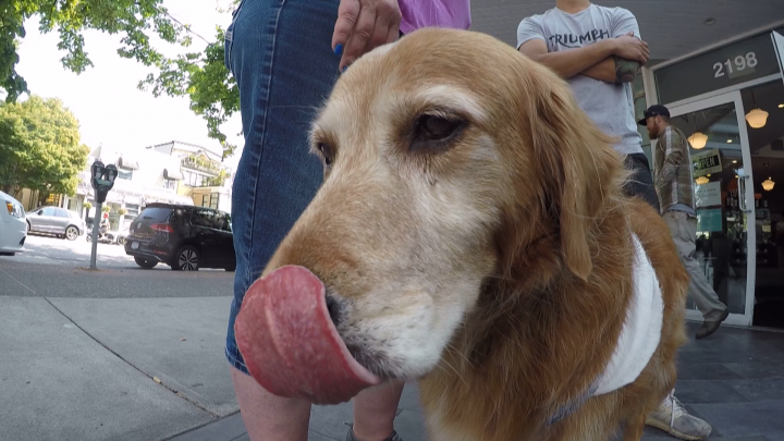 Copper is expected to make a full recovery.