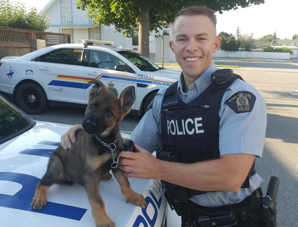 Penticton RCMP's Const. Richardson and his new protégé eight-week-old Lentz. 