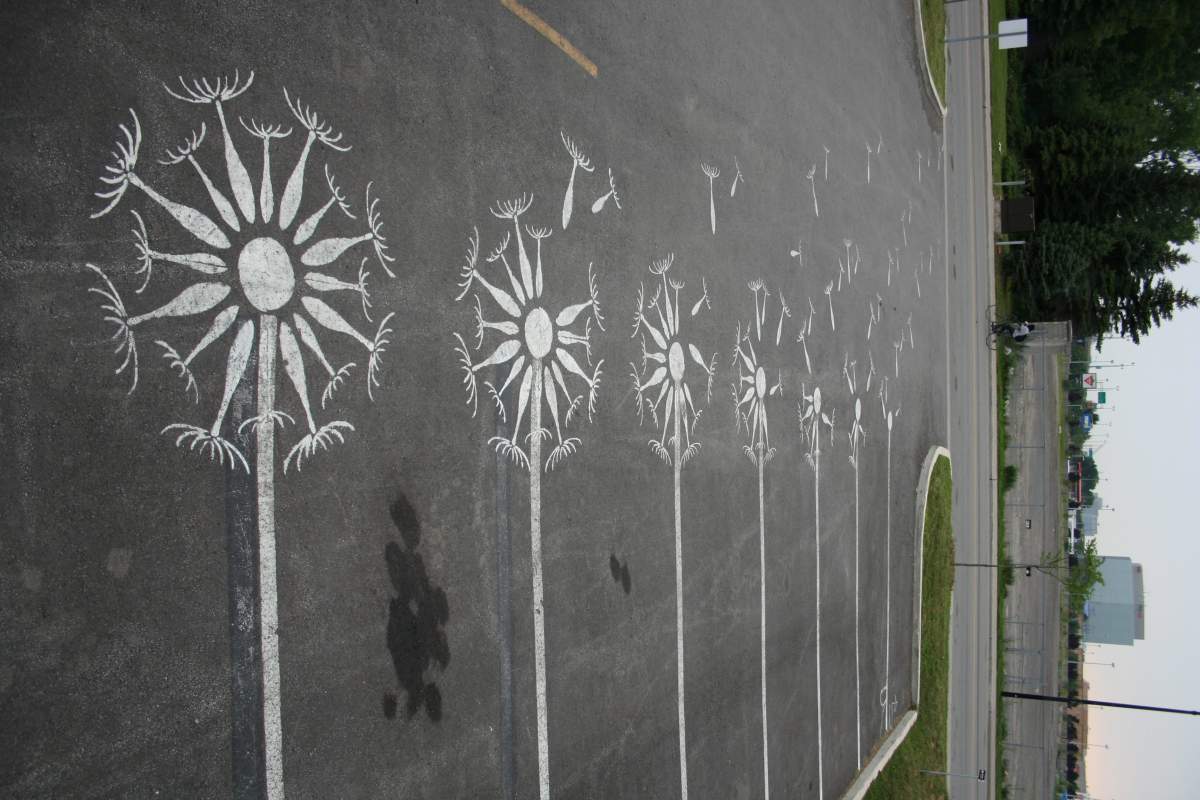 Street markings in Montreal transformed into art by Peter Gibson/Roadsworth called “dents de lions.”