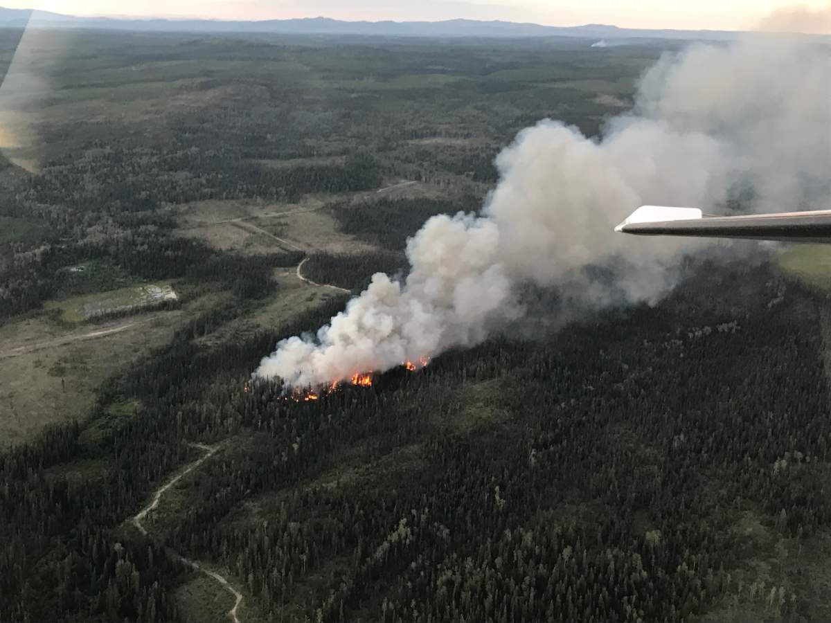 The Dog Creek Trail Wildfire. Courtesy of the B.C. Wildfire Service.