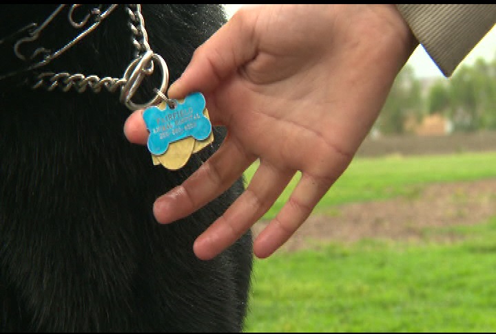 The Regional District of the Central Okanagan is cracking down on unlicensed dogs, stating there are more than 3,200 dogs who were licensed last year, but not this year. 