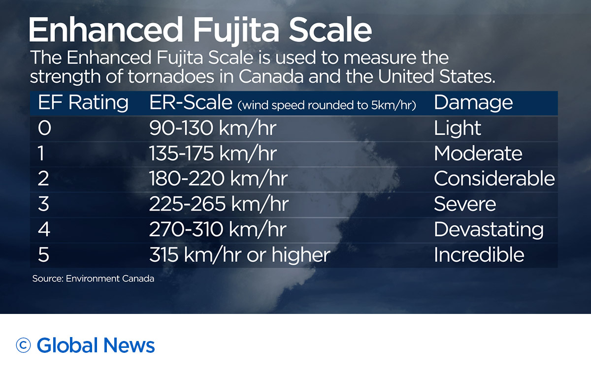 Tornado touches down just north of Barrie: Environment Canada - image