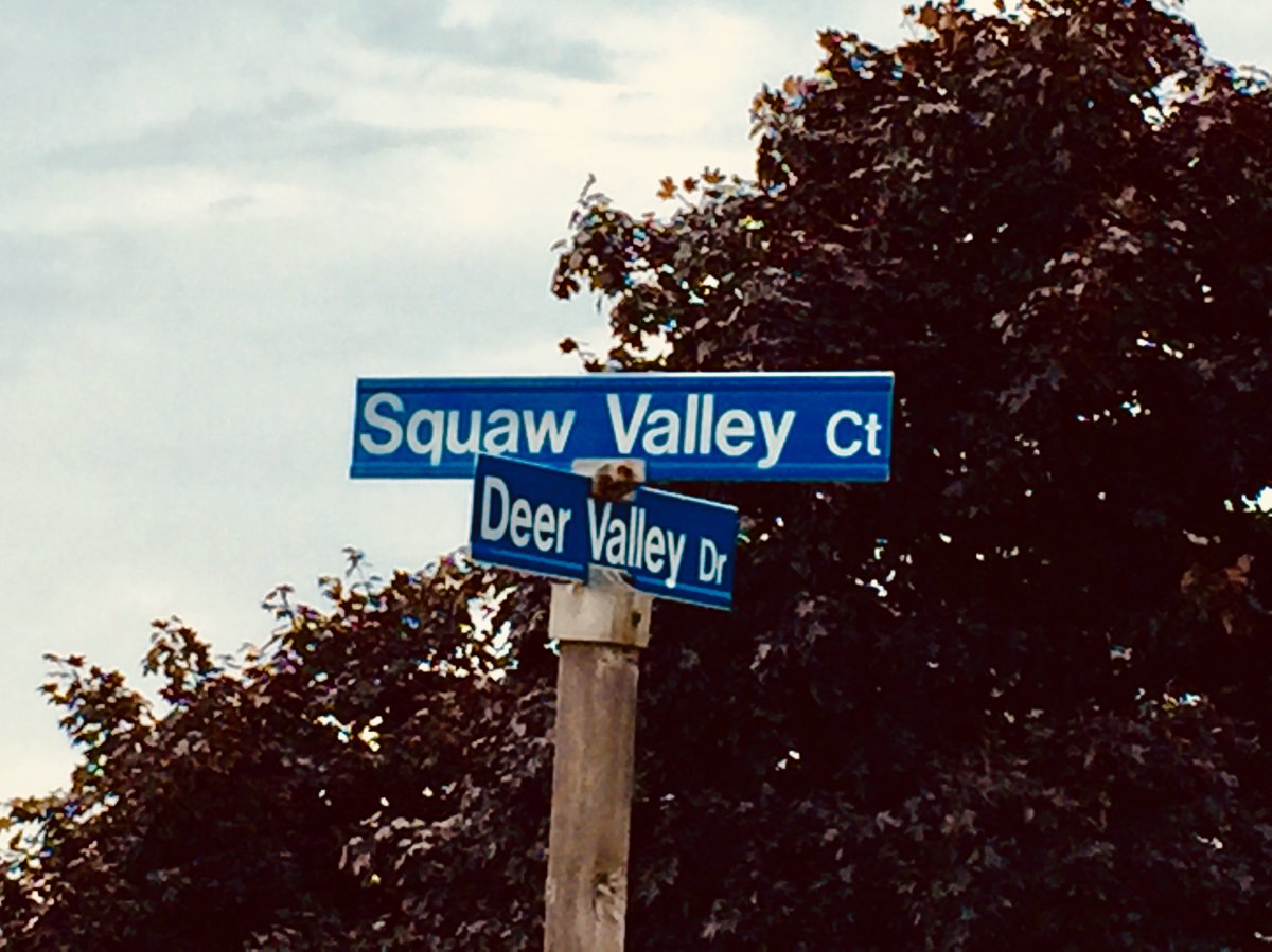 Oshawa changes name of ‘Squaw Valley Court’ in response to community concerns - image