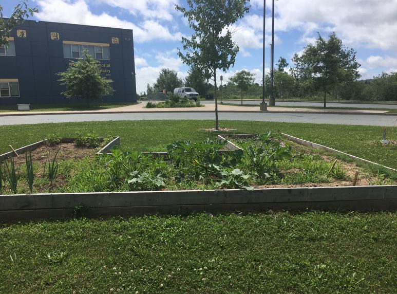 The elementary school says it was discovered on Monday that the garlic was stolen. 