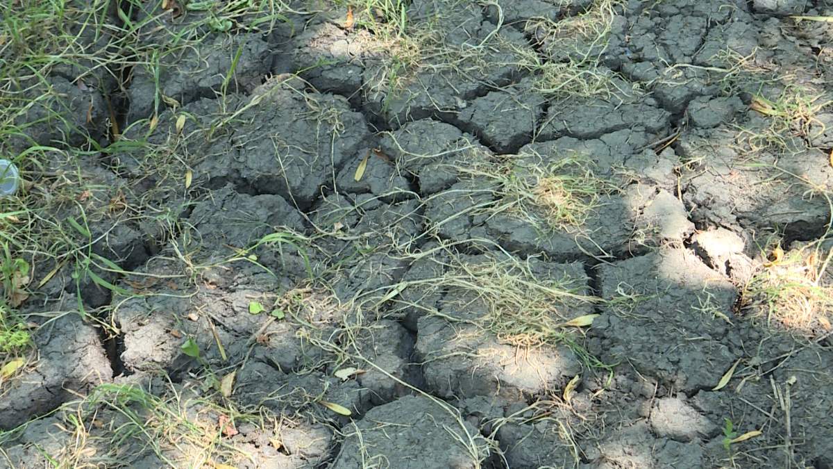 Several regions of B.C. have had their drought level raised to B.C.'s highest rating.